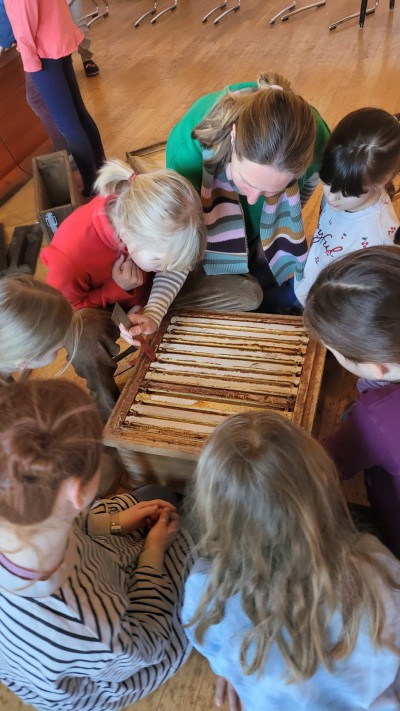 Ein besonderes Schulprojekt